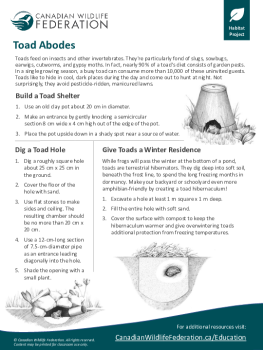 Toad Abodes