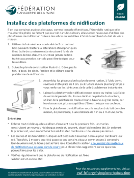 Installez des plateformes de nidification