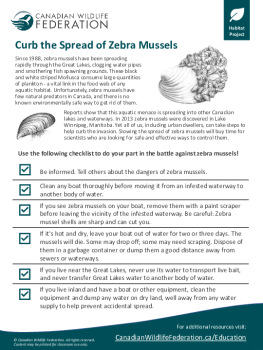 Curb the Spread of Zebra Mussels