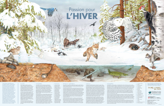 Passion pour L’HIVER