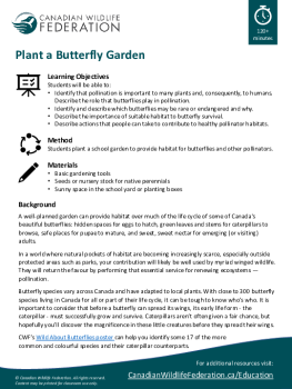 Plant a Butterfly Garden