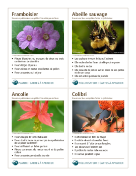 Cartes de pollinisation