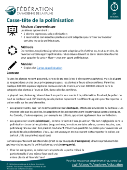 Casse-tête de la pollinisation
