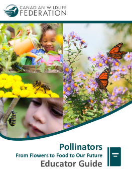 Pollinators -  From Flowers to Food to Our Future  - Educator Guide
