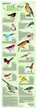 Wild About Birds 2 Poster