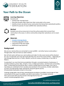 Your Path to the Ocean
