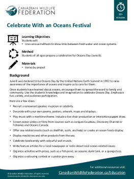 Celebrate With an Oceans Festival