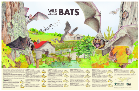 Wild About Bats Poster