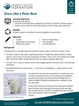 Dress Like a Polar Bear