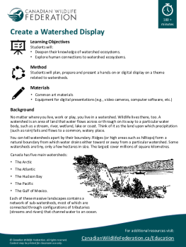 Create a Watershed Display