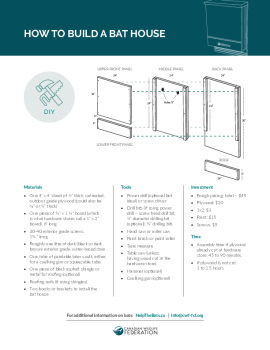 How to Build a Bat House
