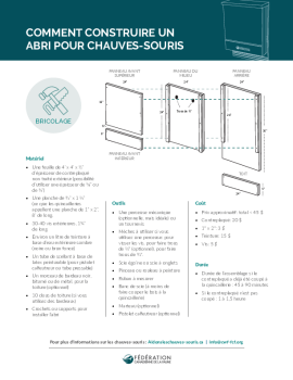 Comment construire un abri pour chauves-souris