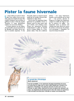 Pister la faune hivernale