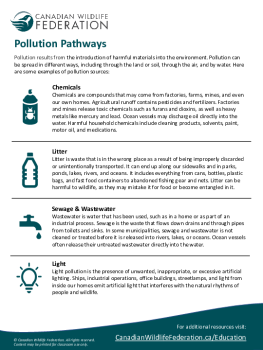 Pollution Pathways