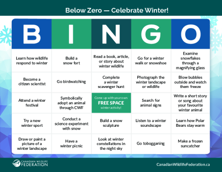 Winter Bingo