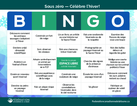 Bingo d'hiver