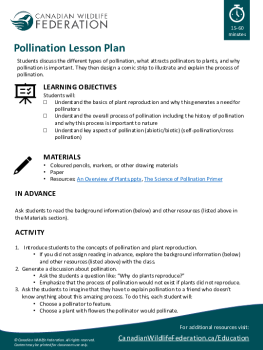 Pollination lesson plan