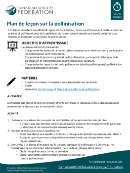 Plan de leçon sur la pollinisation