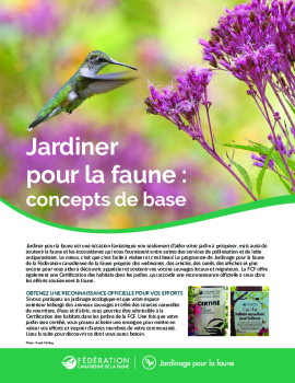 Jadinage pour la faune: concepts de base