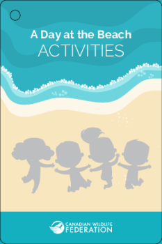 Day at the Beach Activity Cards