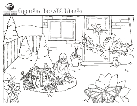 A Garden For Wild Friends