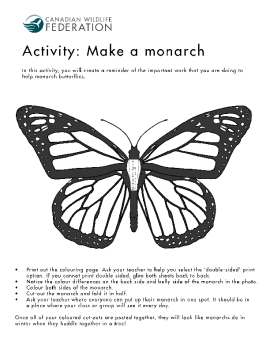 Monarch colouring page