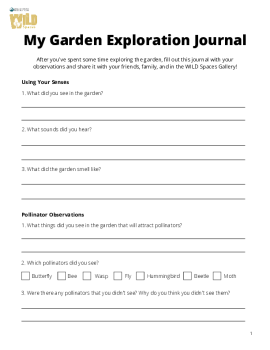 My Garden Exploration Journal