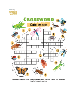 Insect Crossword