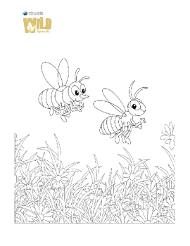 colouring -page -bees