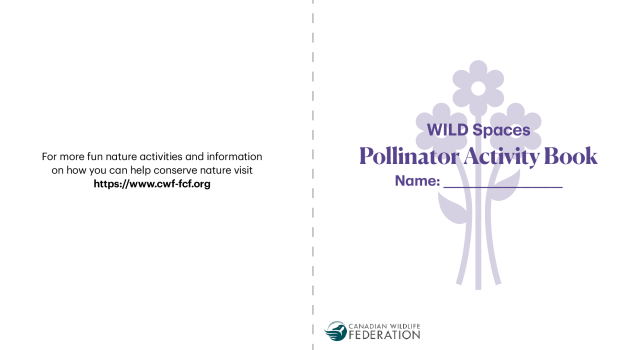 Pollinator Activity Book