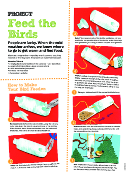 How to build a bird feeder!