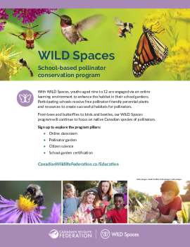 WILD Spaces One Pager