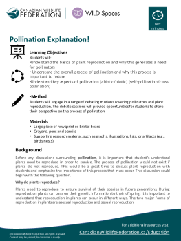 Pollination Explanation