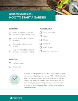 How to Start a Garden