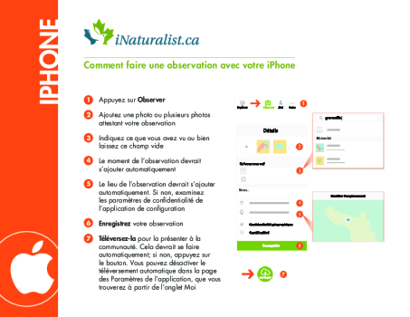 Comment faire une observation avec votre iphone